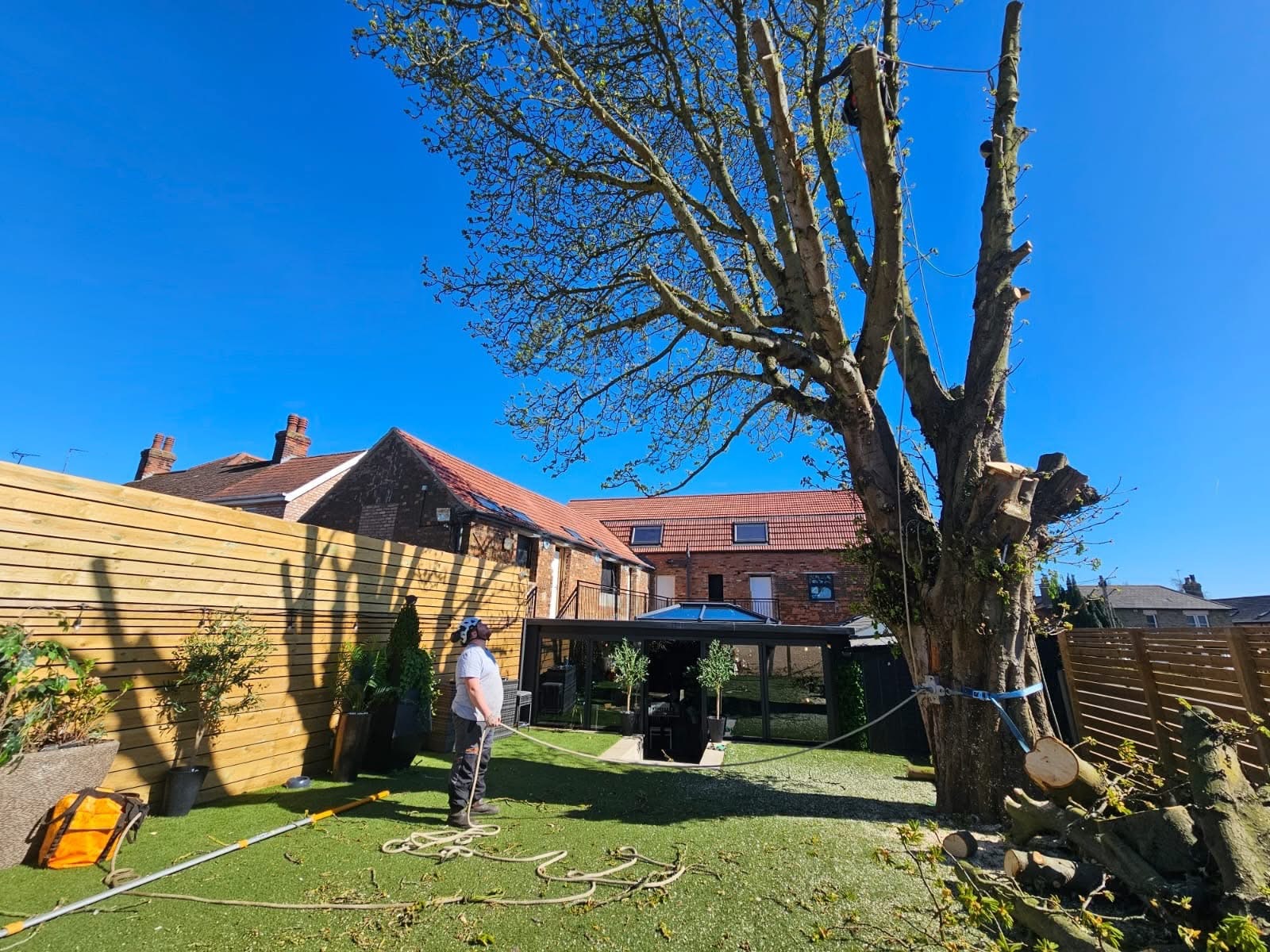M&L working on a tree